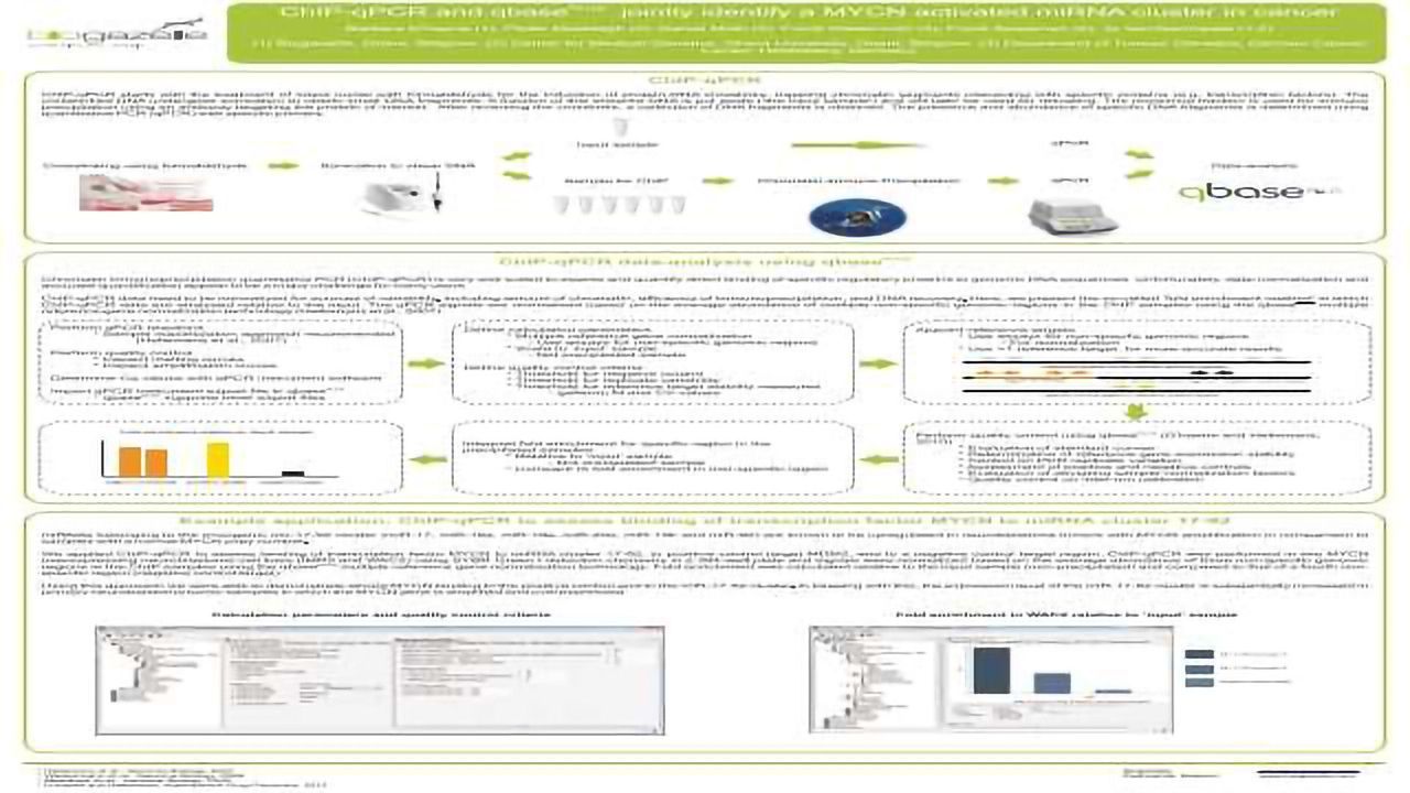 ChIP-qPCR and qbasePLUS Jointly Identify a MYCN Activated miRNA Cluster in Cancer