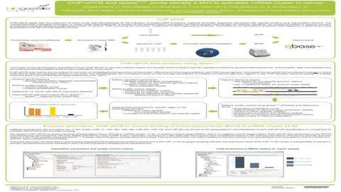 ChIP-qPCR and qbasePLUS Jointly Identify a MYCN Activated miRNA Cluster in Cancer