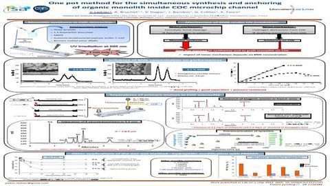 One Pot Method for the Simultaneous Synthesis and Anchoring of Organic Monolith Inside COC Microchip Channel