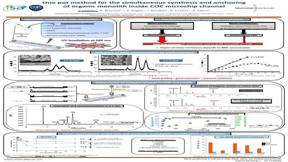 One Pot Method for the Simultaneous Synthesis and Anchoring of Organic Monolith Inside COC Microchip Channel content piece image