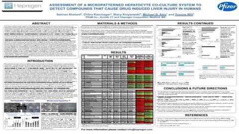 ASSESSMENT OF A MICROPATTERNED HEPATOCYTE CO-CULTURE SYSTEM TO DETECT COMPOUNDS THAT CAUSE DRUG INDUCED LIVER INJURY IN HUMANS
