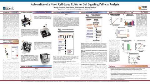 Automation of a Novel Cell-Based ELISA for Cell Signaling Pathway Analysis