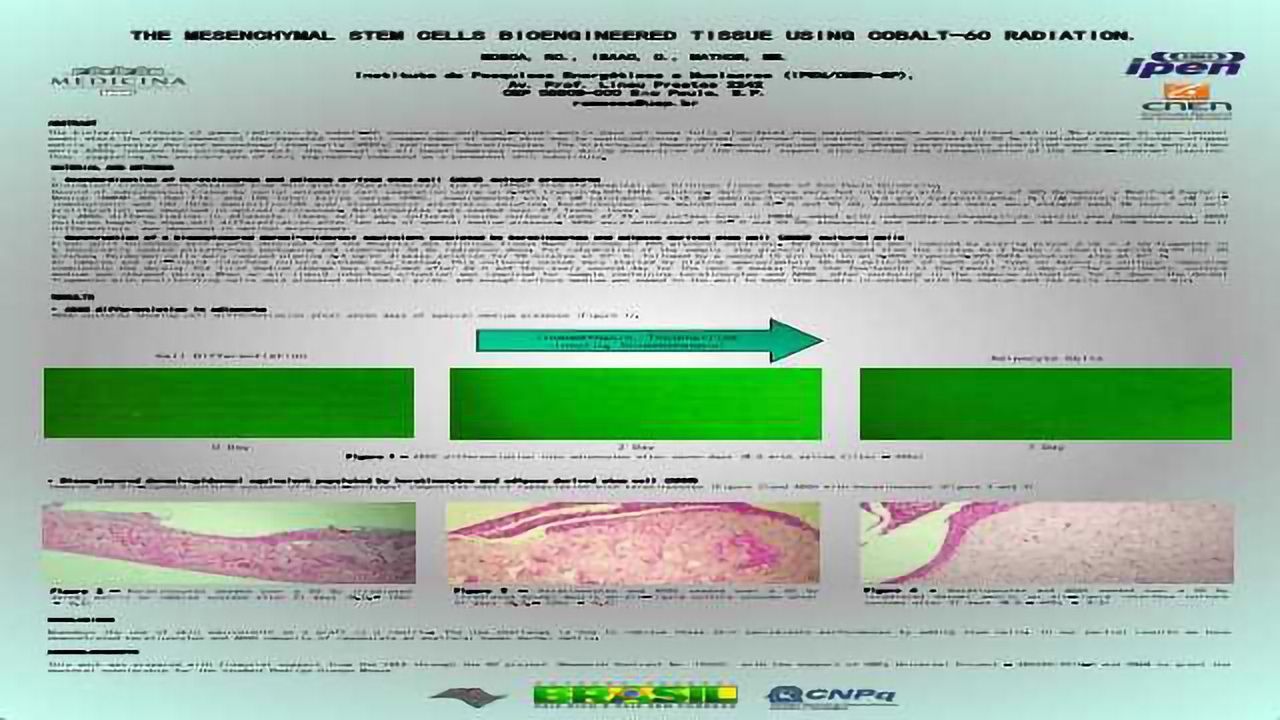 The Mesenchymal Stem Cells Bioengineered Tissue Using Cobalt-60 Radiation