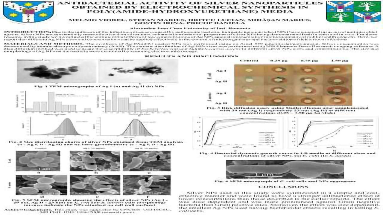 Antibacterial Activity of Silver Nanoparticles Obtained by Electrochemical Synthesis in Poly(Amide-Hydroxyurethane) Media