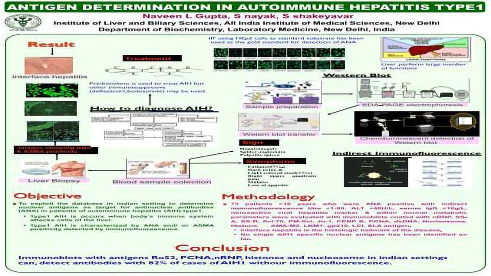 Antigen Determination in Autoimmune Hepatitis Type1 content piece image