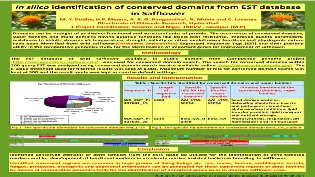 In Silico Identification of Conserved Domains from EST Database in Safflower