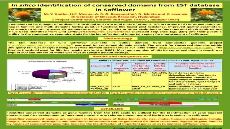 In Silico Identification of Conserved Domains from EST Database in Safflower content piece image