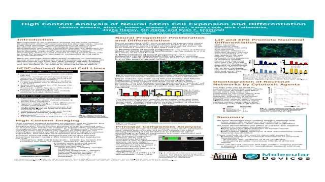 High Content Analysis of Neural Stem Cell Expansion and Differentiation content piece image 