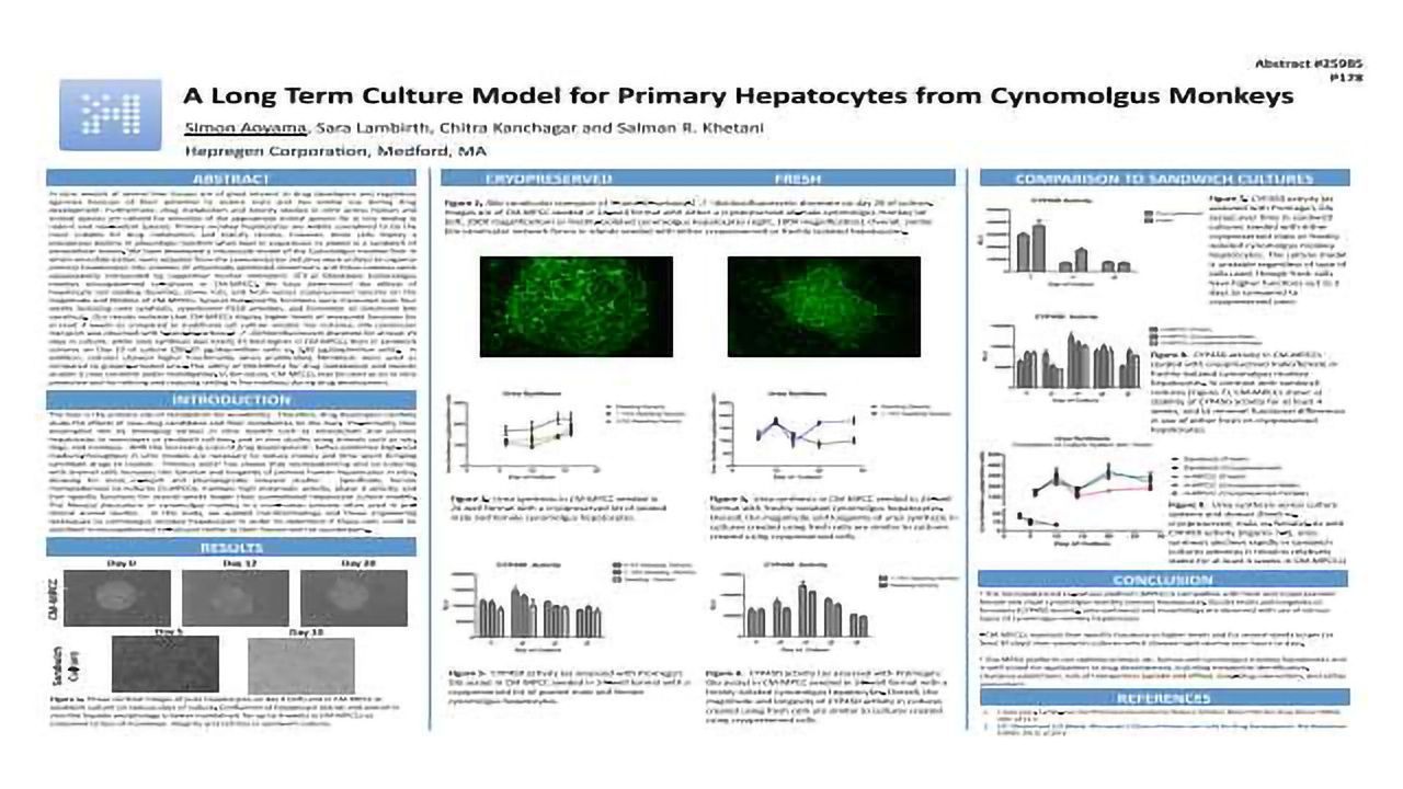 A Long Term Culture Model for Primary Hepatocytes from Cynomolgus Monkeys