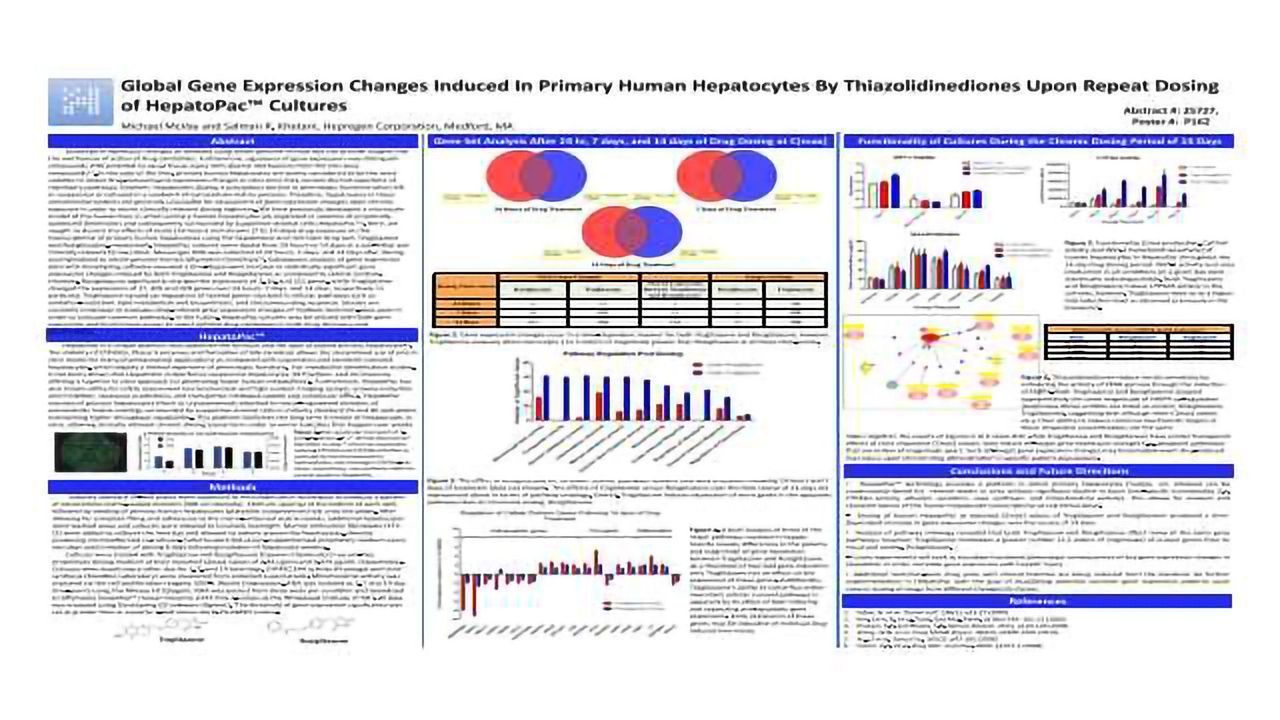Global Gene Expression Changes Induced In Primary Human Hepatocytes By Thiazolidinediones Upon Repeat Dosing of HepatoPac™ Cultures