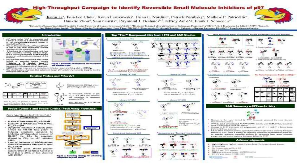 High-Throughput Campaign to Identify Reversible Small Molecule Inhibitors of p97 content piece image