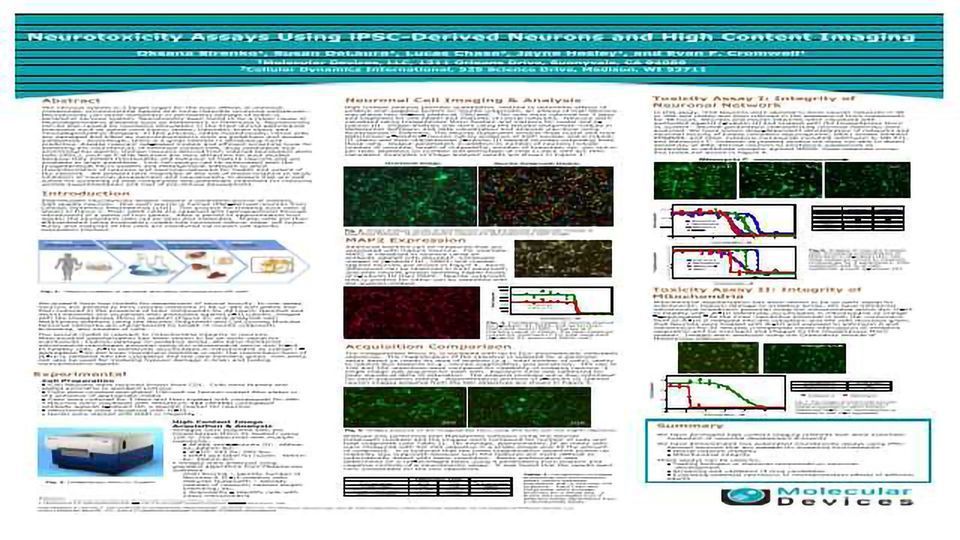 Neurotoxicity Assays Using iPSC-Derived Neurons and High Content Imaging content piece image