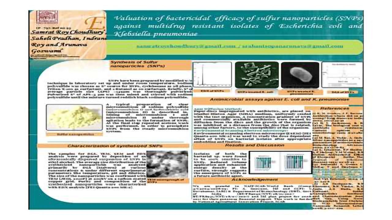 Evaluation of bactericidal efficacy of sulfur nanoparticles (SNPs) against multidrug resistant isolates of Escherichia coli and Klebsiella pneumoniae