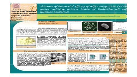 Evaluation of bactericidal efficacy of sulfur nanoparticles (SNPs) against multidrug resistant isolates of Escherichia coli and Klebsiella pneumoniae
