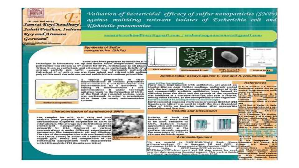 Evaluation of bactericidal efficacy of sulfur nanoparticles (SNPs) against multidrug resistant isolates of Escherichia coli and Klebsiella pneumoniae content piece image