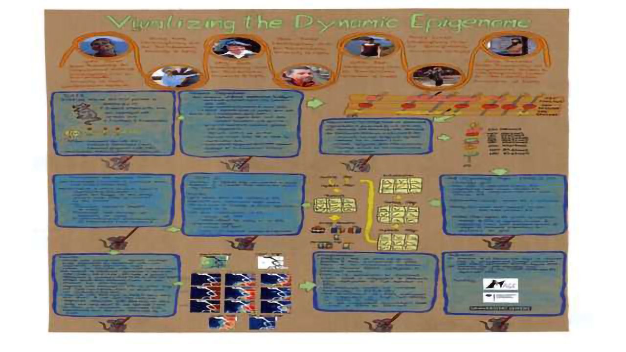 Visualizing the Dynamic Epigenome