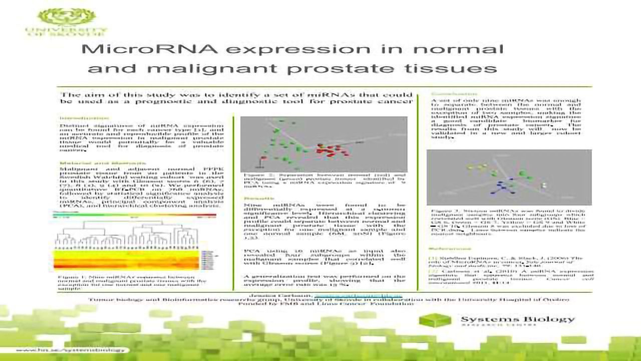 MicroRNA expression in normal and malignant prostate tissues