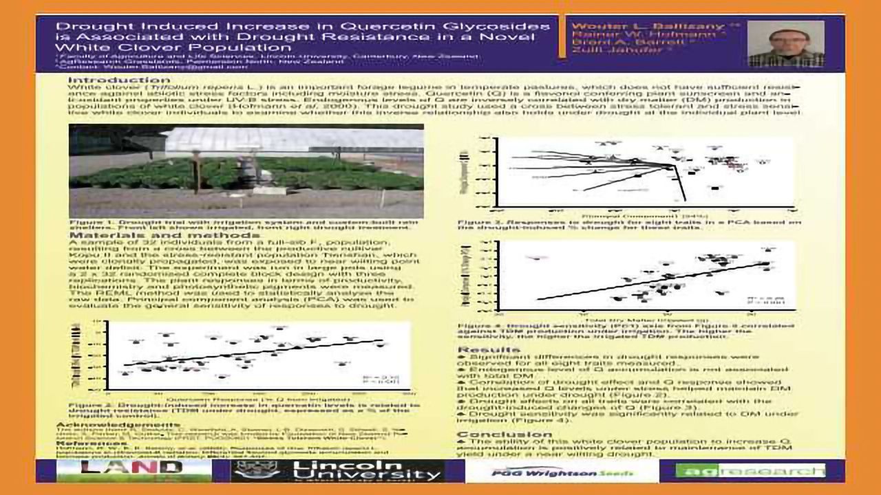Drought Induced Increase in Quercetin Glycosides is Associated with Drought Resistance in a Novel White Clover Population