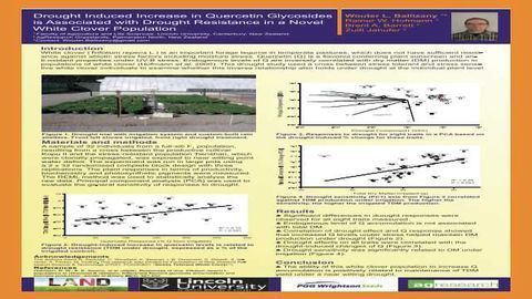Drought Induced Increase in Quercetin Glycosides is Associated with Drought Resistance in a Novel White Clover Population