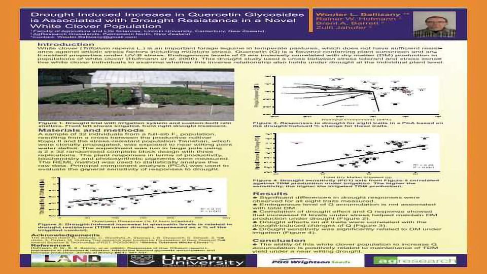 Drought Induced Increase in Quercetin Glycosides is Associated with Drought Resistance in a Novel White Clover Population content piece image