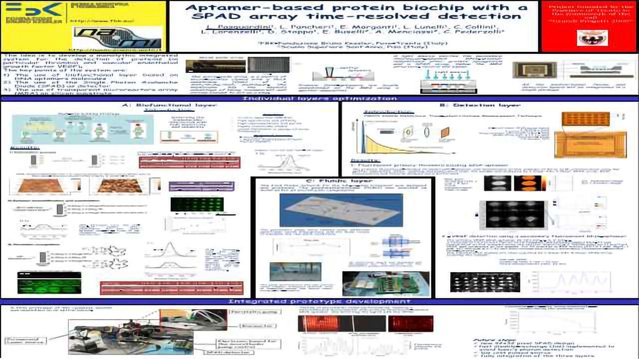 Aptamer-based protein biochip with a SPAD array time-resolved detection