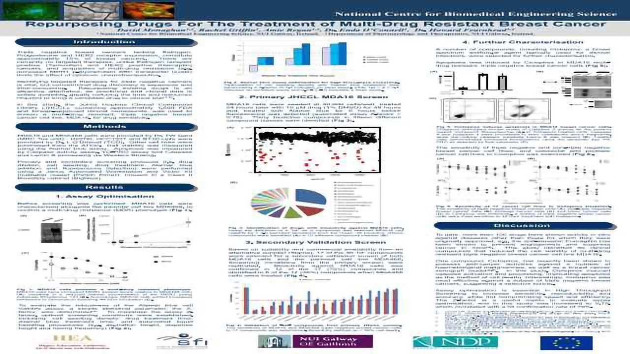 Repurposing Drugs for the Treatment of Multi-Drug Resistant Breast Cance
