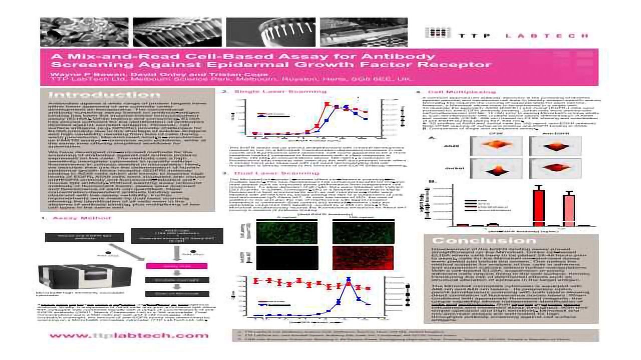 A Mix-and-Read Cell-Based Assay for Antibody Screening Against Epidermal Growth Factor Receptor