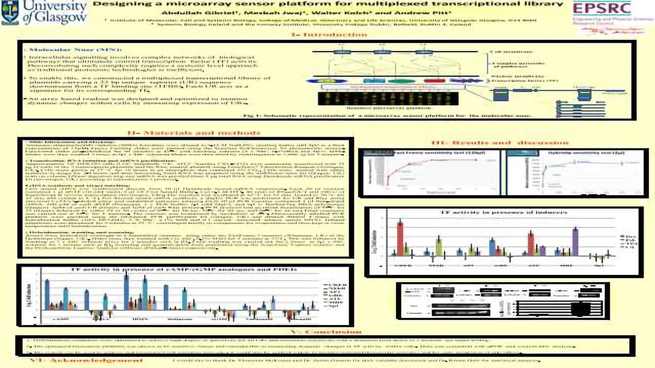 Designing a microarray sensor platform for multiplexed transcriptional library