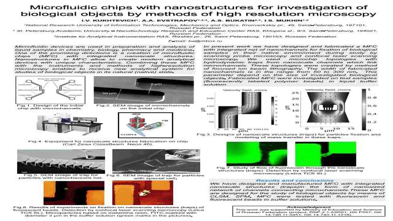 Microfluidic chips with nanostructures for investigation of biological objects by methods of high resolution microscopy