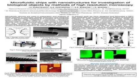 Microfluidic chips with nanostructures for investigation of biological objects by methods of high resolution microscopy