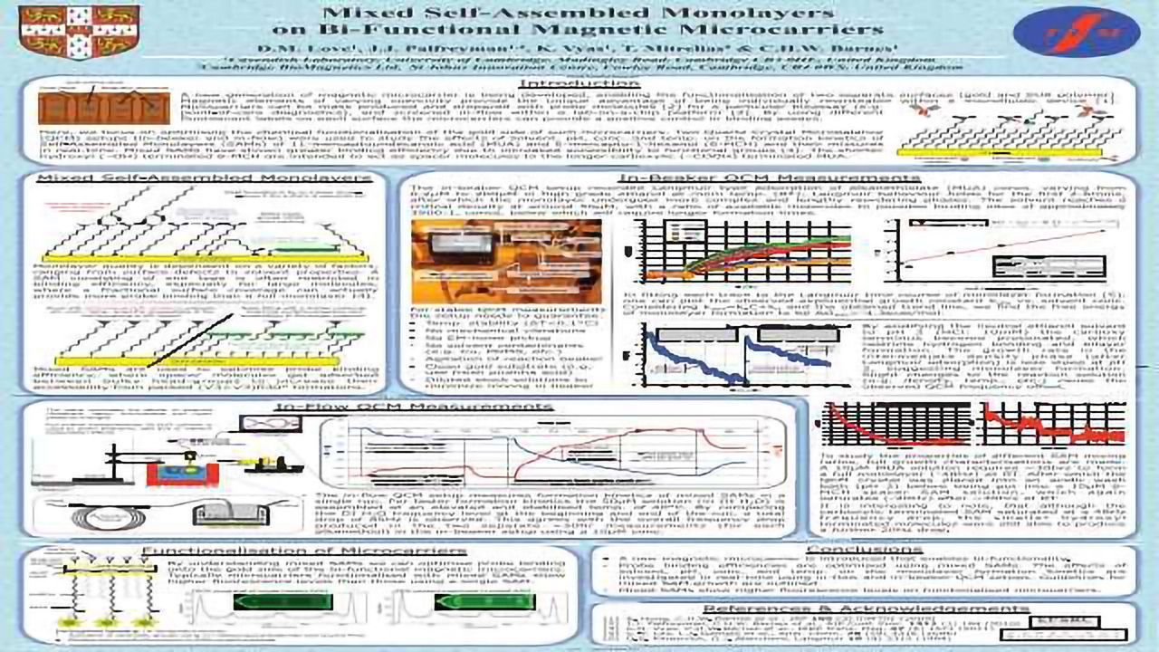 Mixed Self-Assembled Monolayers on Bi-functional Magnetic Microcarriers