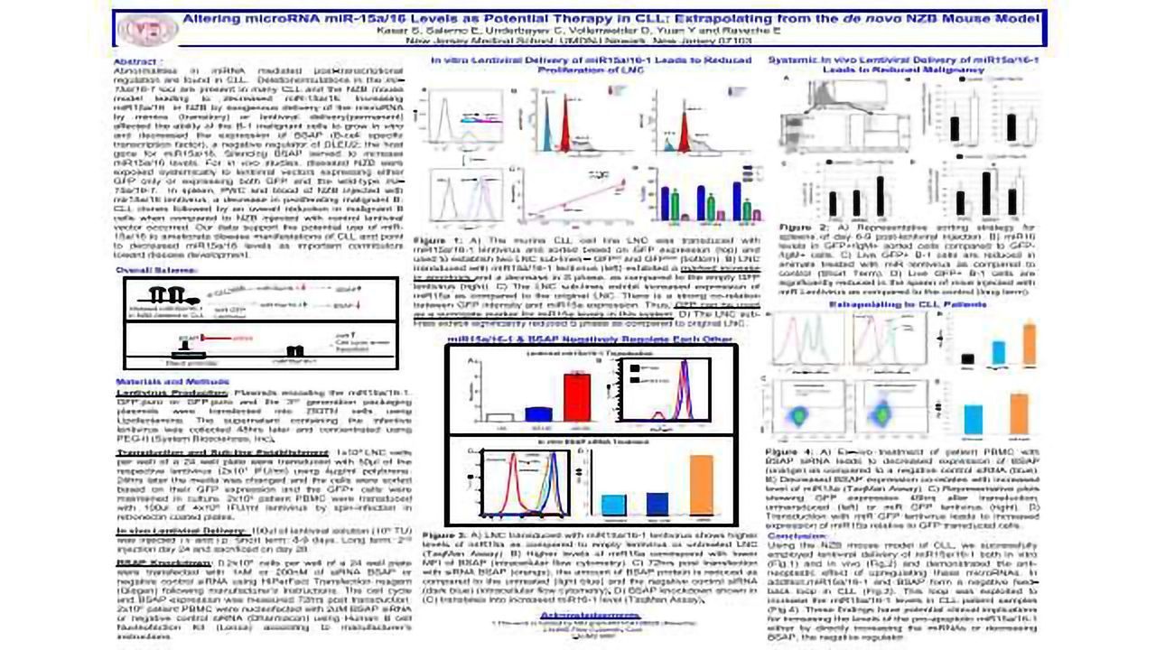 Altering microRNA miR-15a/16 Levels as Potential Therapy in CLL: Extrapolating from the de novo NZB Mouse Model