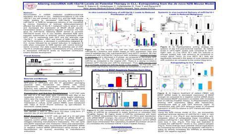Altering microRNA miR-15a/16 Levels as Potential Therapy in CLL: Extrapolating from the de novo NZB Mouse Model