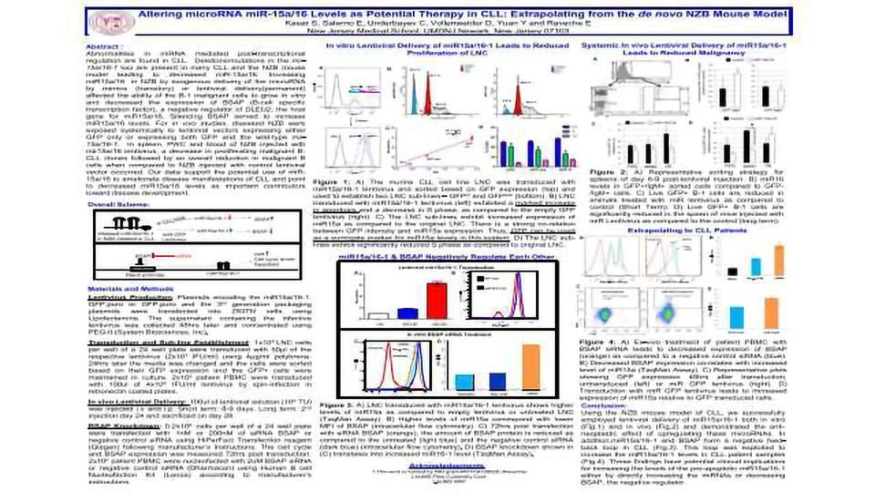 Altering microRNA miR-15a/16 Levels as Potential Therapy in CLL: Extrapolating from the de novo NZB Mouse Model content piece image