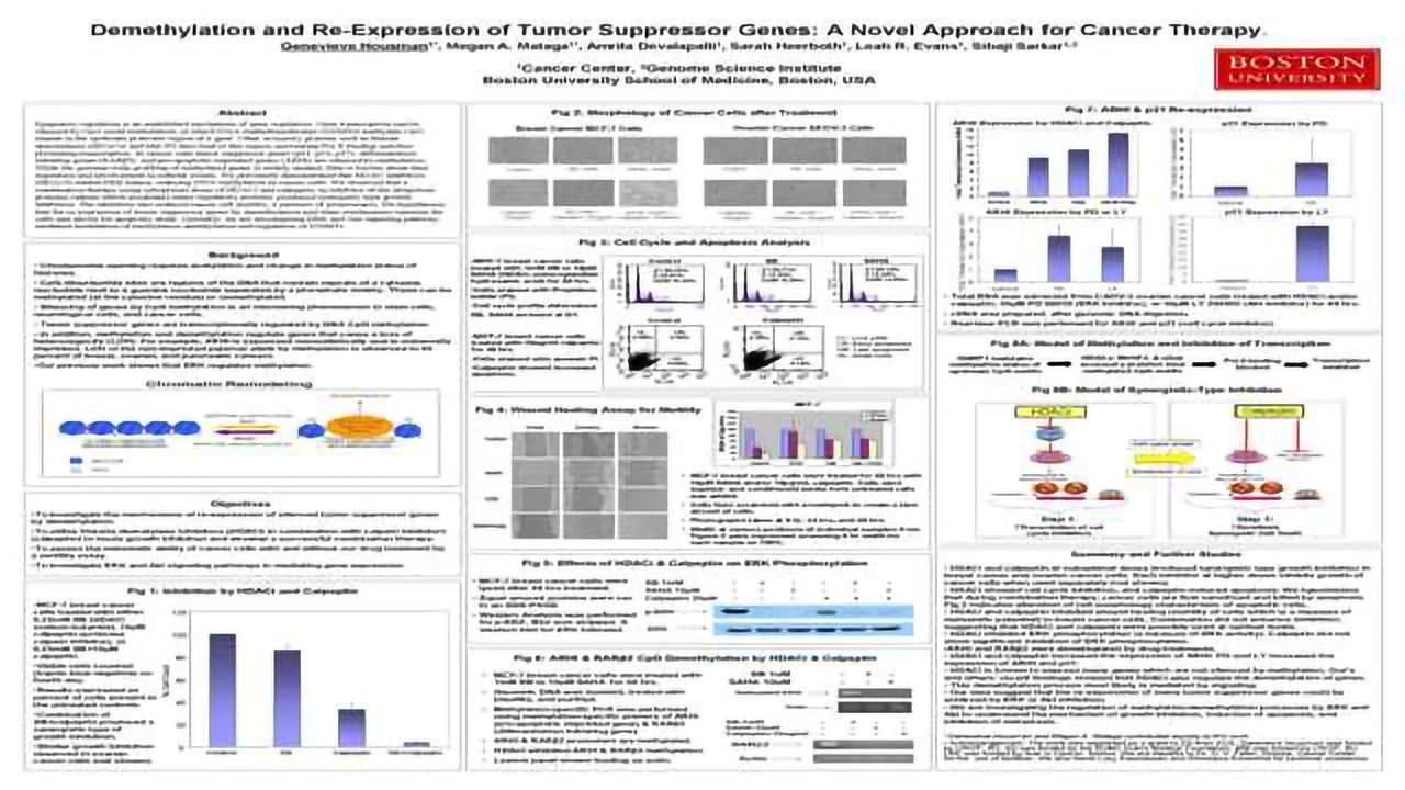 Demethylation and Re-Expression of Tumor Suppressor Genes: A Novel Approach for Cancer Therapy