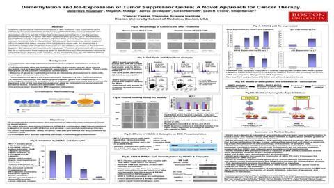 Demethylation and Re-Expression of Tumor Suppressor Genes: A Novel Approach for Cancer Therapy