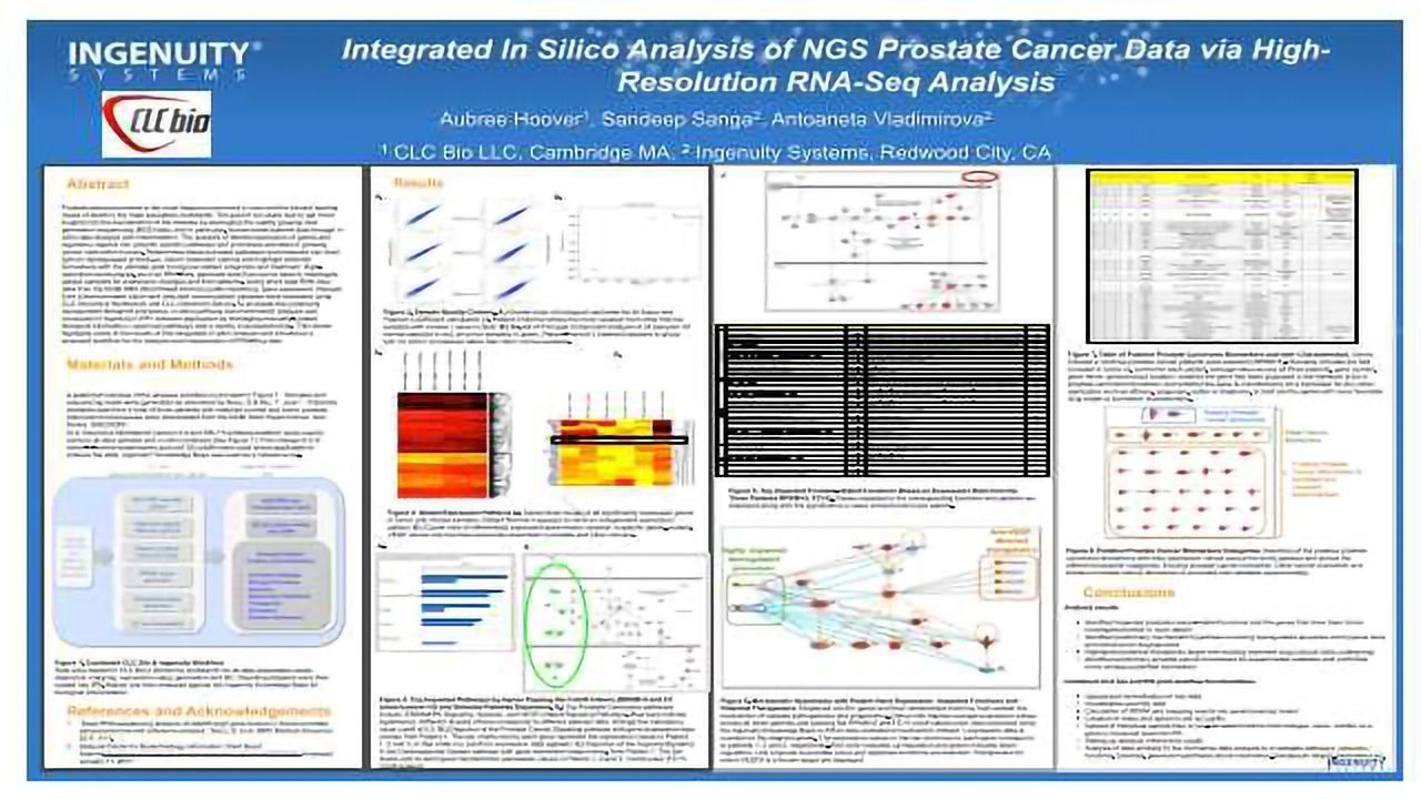 Integrated In Silico Analysis of NGS Prostate Cancer Data via High-Resolution RNA-Seq Analysis