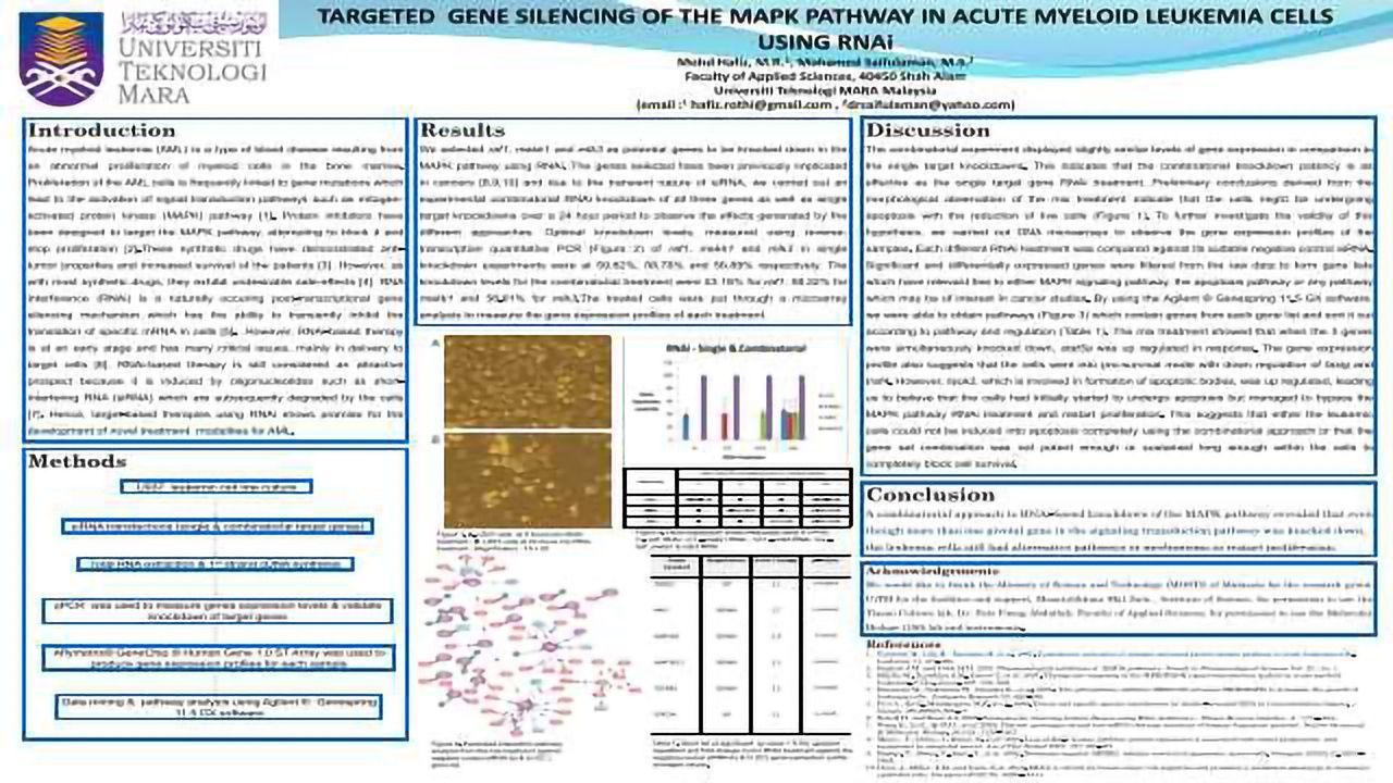 Targeted gene silencing of the MAPK pathway in acute myeloid leukemia cells using RNAi