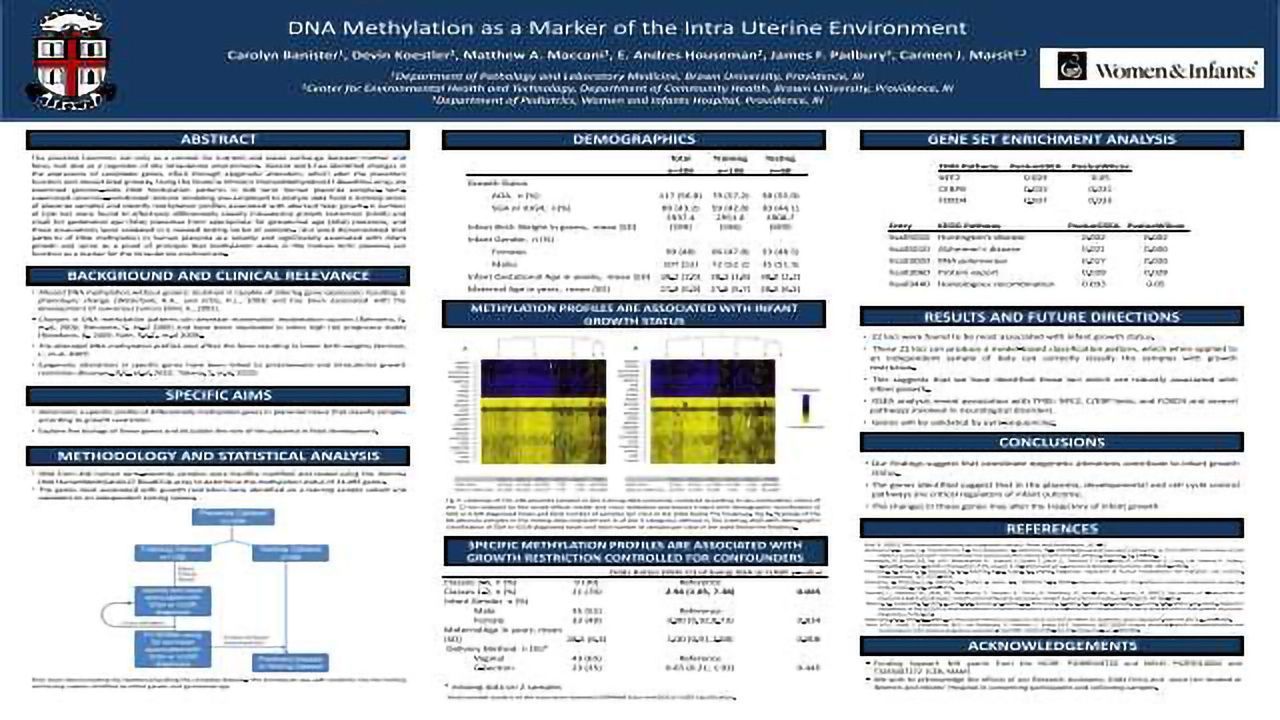 DNA Methylation as a Marker of the Intra Uterine Environment
