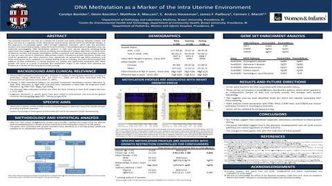 DNA Methylation as a Marker of the Intra Uterine Environment