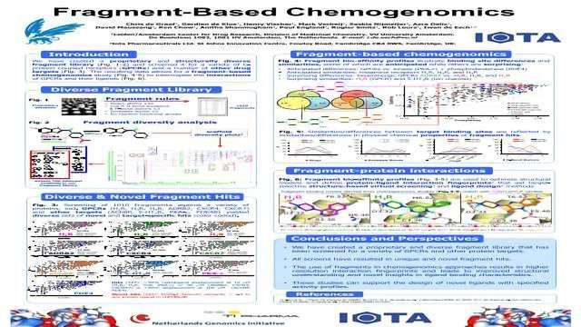 Fragment-Based Chemogenomics内容块的形象