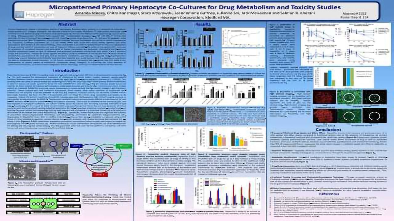 Micropatterned Primary Hepatocyte Co-Cultures for Drug Metabolism and Toxicity Studies