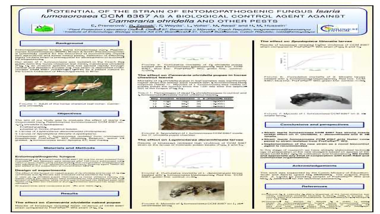 Potential of the strain of entomopathogenic fungus Isaria fumosorosea CCM 8367 as a biological control agent against Cameraria ohridella and other pests