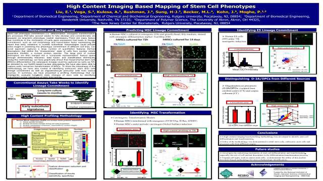 High content imaging based mapping of stem cell phenotypes