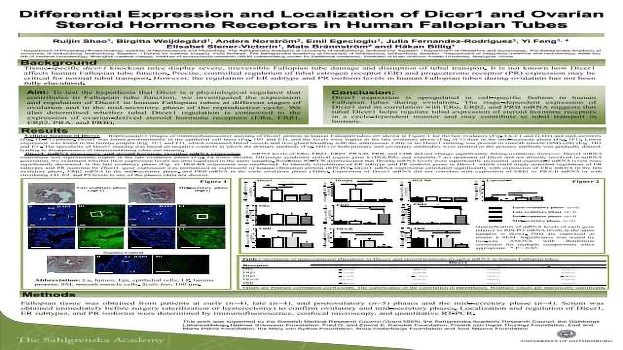 Differential Expression and Localization of Dicer1 and Ovarian Steroid Hormone Receptors in Human Fallopian Tubes