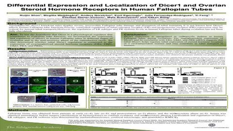 Differential Expression and Localization of Dicer1 and Ovarian Steroid Hormone Receptors in Human Fallopian Tubes
