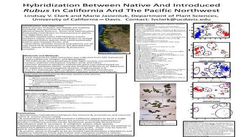 Hybridization between native and introduced Rubus in California and the Pacific Northwest