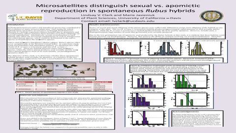 Microsatellites distinguish sexual vs. apomictic reproduction in spontaneous Rubus hybrids