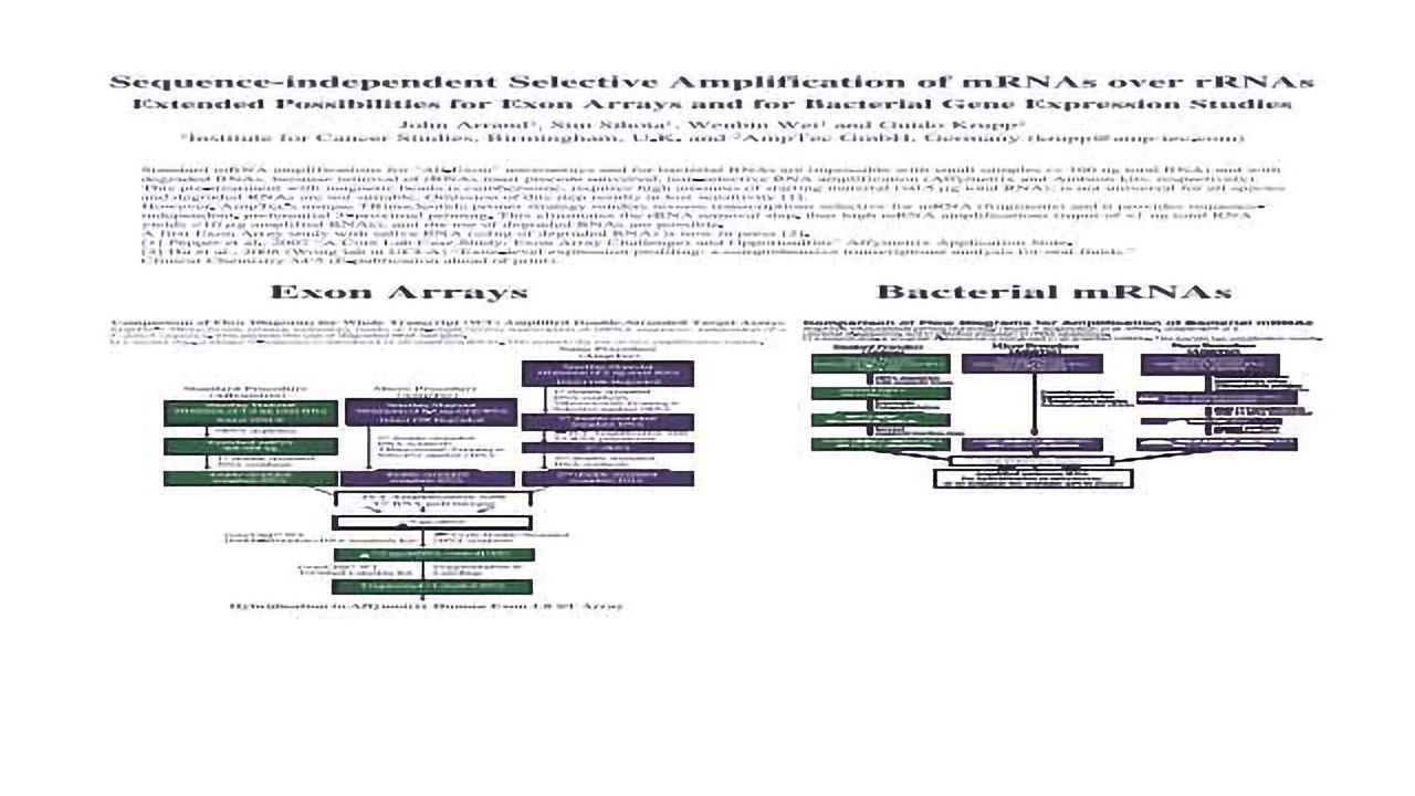 Sequence-independent Selective Amplification of mRNAs over rRNAs