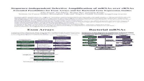 Sequence-independent Selective Amplification of mRNAs over rRNAs